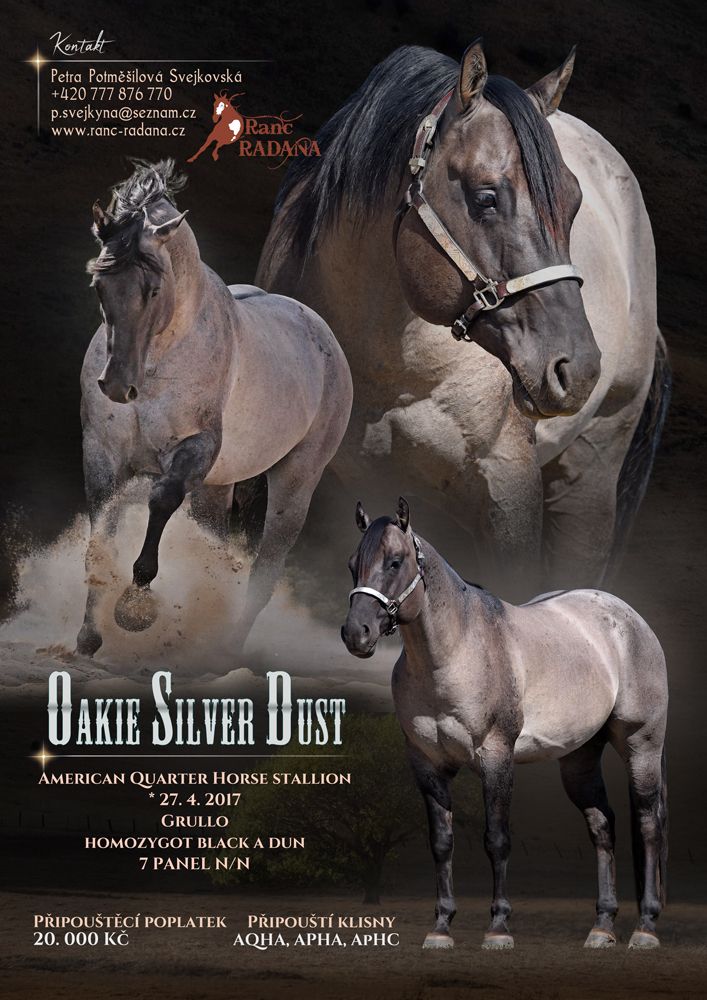 American Quarter Horse Oakie Silver Dust