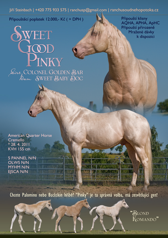 AQH Sweet Good Pinky